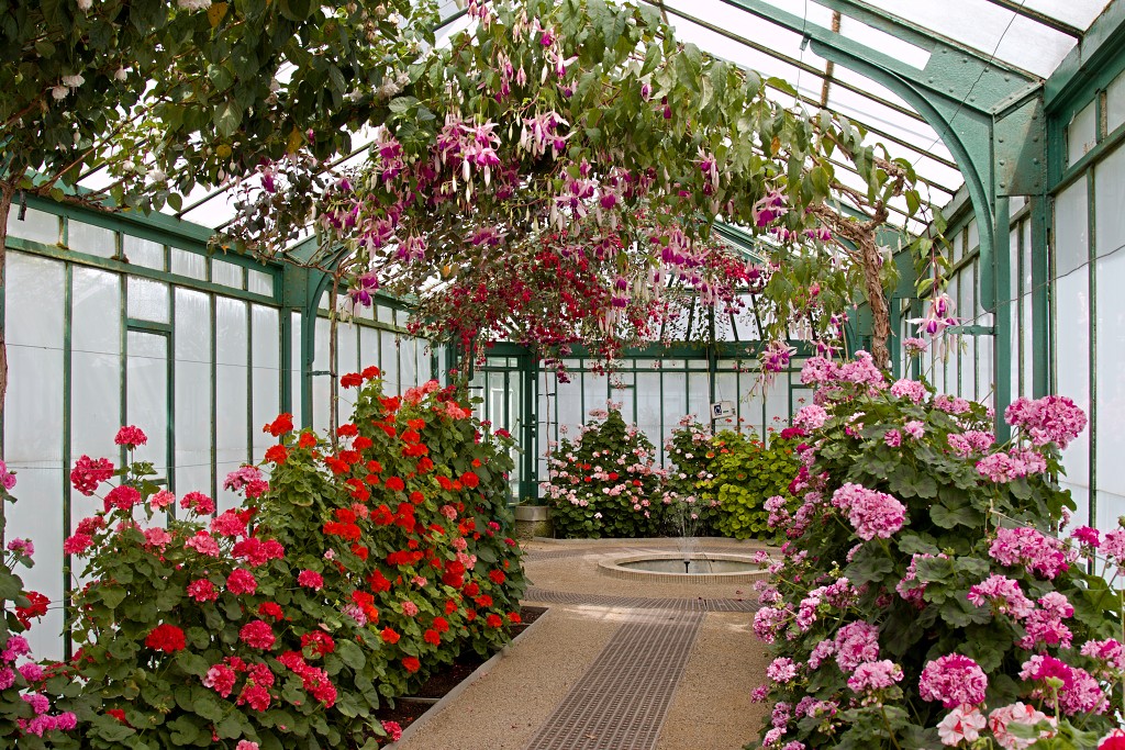 Serres royales de Laeken Koninklijke laken Koninklijk belgie serre kasteel hdr art nouveau tuin bloemen bloem architect Alphonse Balat Koning Leopold II plantencollectie